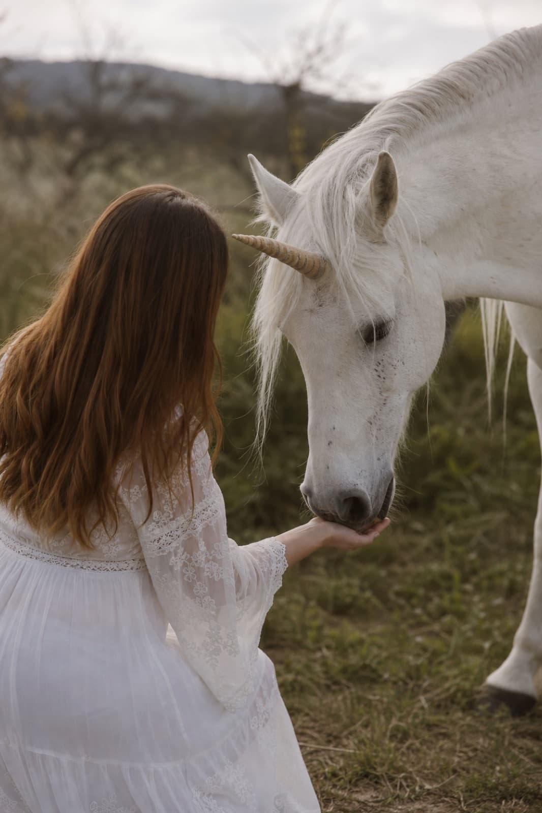 De Stille Expert — Your Unicorn Way
